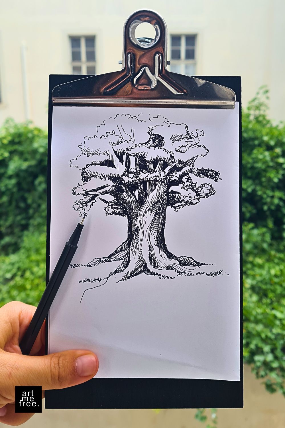 nature drawing of a tree