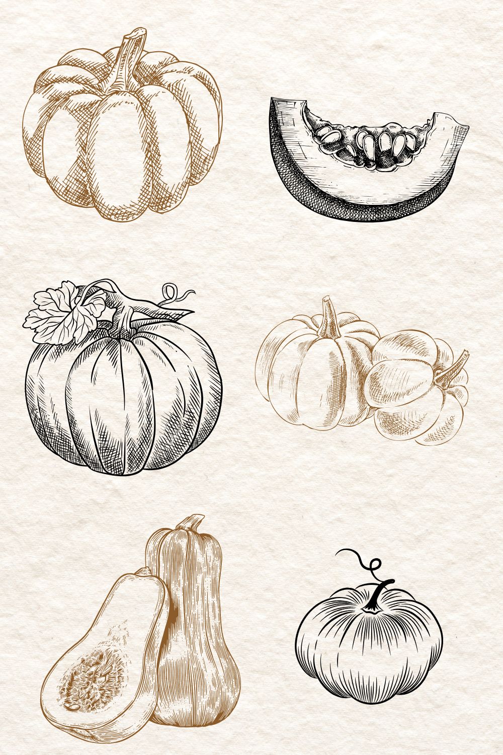 pumpling drawing ideas