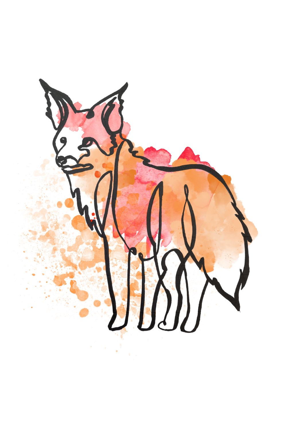 fox drawing