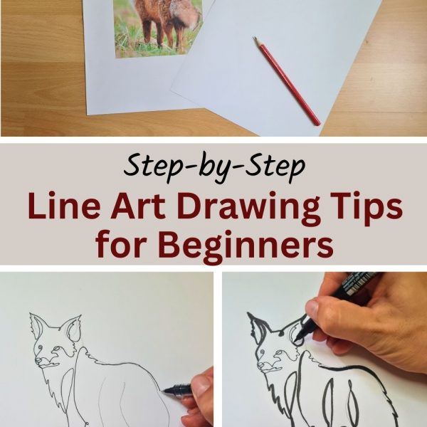 line art drawing